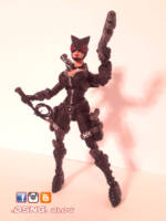 Catwoman (DC Universe) Custom Action Figure