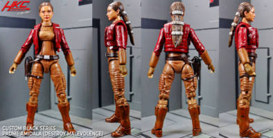 Padme Amidala (Black series from "Destroy Malevolence") (Star Wars Clone Wars) Custom Action Figure