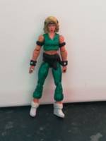 Sonya Blade (MK1) (Mortal Kombat) Custom Action Figure