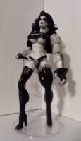 Lobo (DC Universe) Custom Action Figure