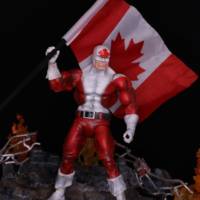 Captain Canuck (Masters of the Universe) Custom Action Figure