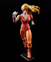 Cheetara (Thundercats MOTUC Style) (Thundercats) Custom Action Figure