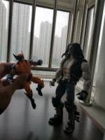 Lobo (DC Universe) Custom Action Figure