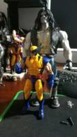 Lobo (DC Universe) Custom Action Figure