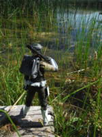 Captain Rex (Star Wars) Custom Action Figure