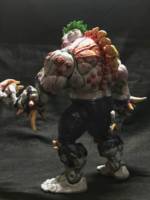 Titan Joker - Batman Arkham Asylum (Batman - Arkham City) Custom Action Figure