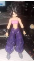 Caulifla (Dragonball Z) Custom Action Figure