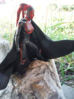 Darth Artroxa (Star Wars) Custom Action Figure