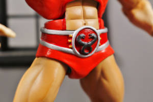 Evil Lion-O (Classic red from the episode Fond Memories) (Thundercats) Custom Action Figure
