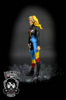 Halo - Batman and the Outsiders (DC Universe) Custom Action Figure