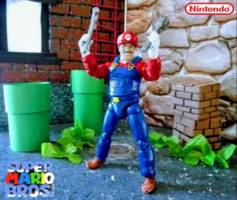 Super Mario Bros (Super Mario Bros) Custom Action Figure