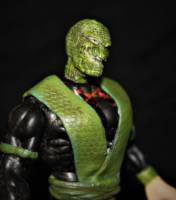 Reptile (unmasksed) (Mortal Kombat) Custom Action Figure